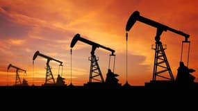 Les cours du pétrole se replient