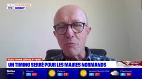 Manche: organiser les législatives anticipées, un calvaire pour les maires?