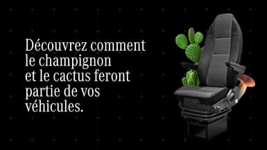 Champignon, chanvre, nylon recyclé, Mercedes-Benz innove avec des matériaux fabriqués à partir de matières organiques et renouvelables