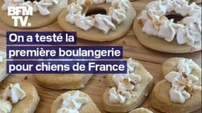 On a testé la première boulangerie pour chien qui vient d’ouvrir à Paris