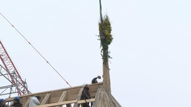 Un branchage a été déposé au sommet de la charpente du chœur de Notre-Dame ce vendredi 12 janvier, ce qui marque la fin de cette étape du chantier.
