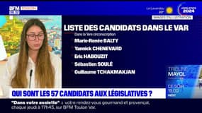 Var: qui sont les 57 candidats aux élections législatives?